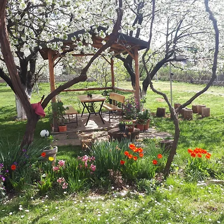 Bed & Breakfast Kapxhiu Peshkopi